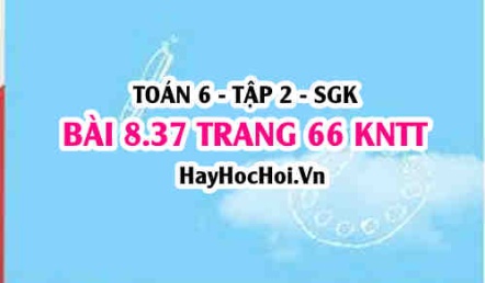Bài 8.37 trang 66 Toán 6 Tập 2 Kết nối tri thức